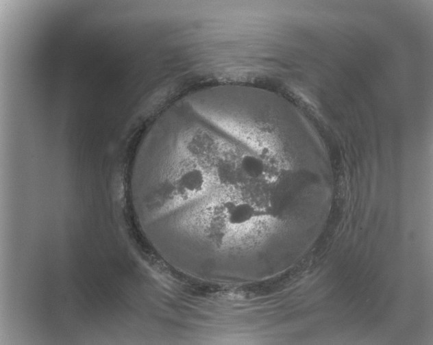 X0000071760687200607150003