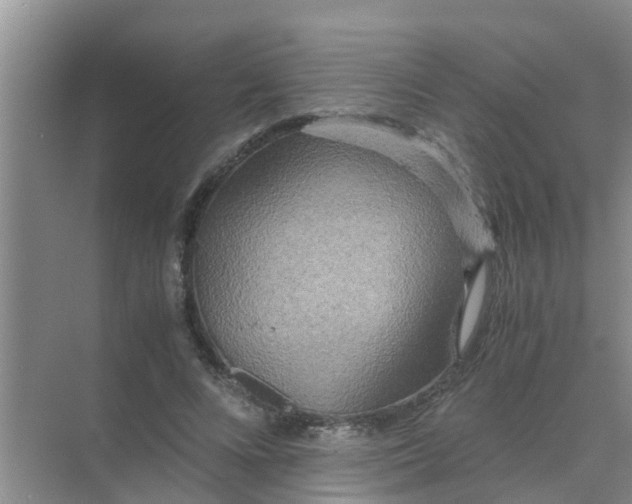 X0000071760688200607150003