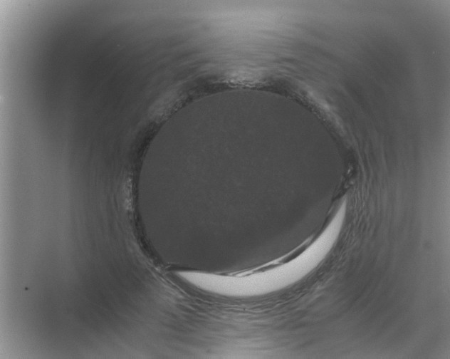 X0000071760689200607150003