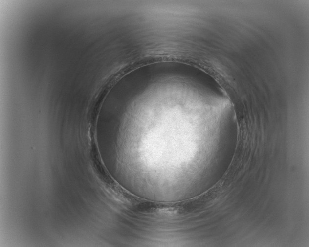 X0000071760692200607150003