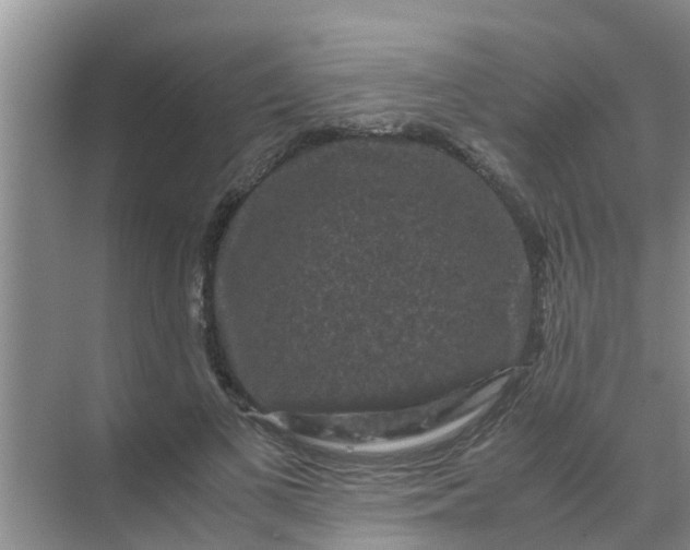 X0000071760693200607150003