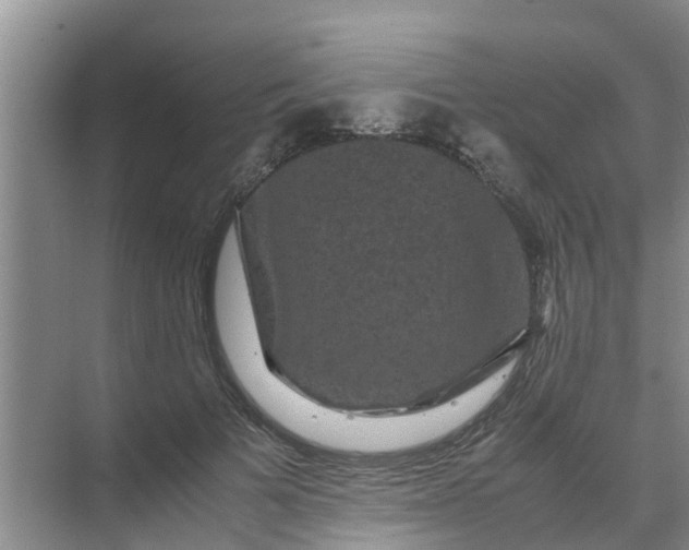 X0000071760697200607150003