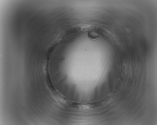 X0000071760698200607150003