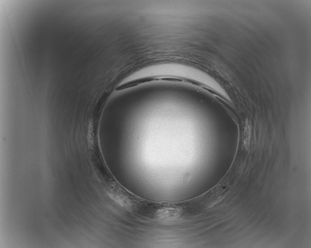 X0000071760700200607150002