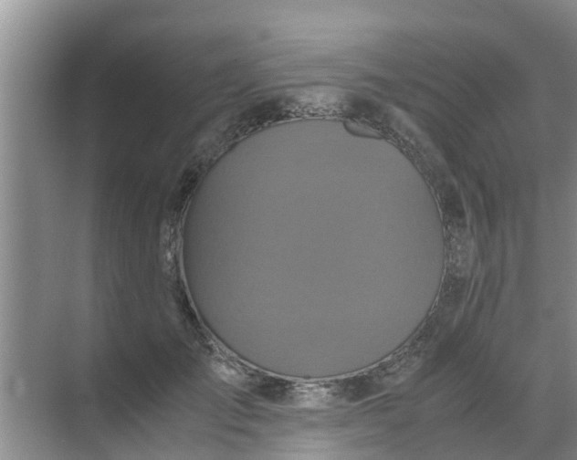 X0000071760701200607150002