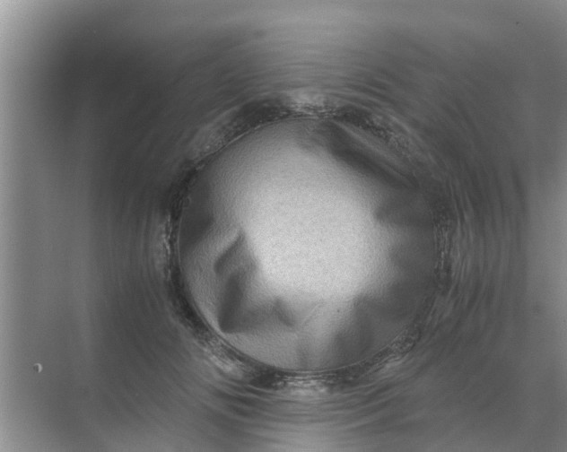 X0000071760702200607150002