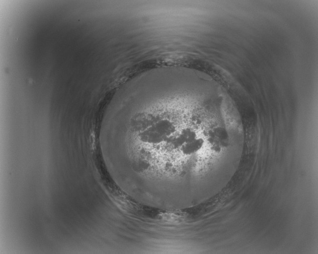 X0000071760703200607150002