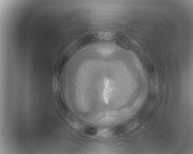 X0000071760705200607150002