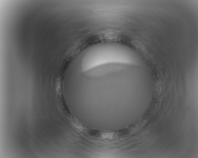 X0000071760709200607150002