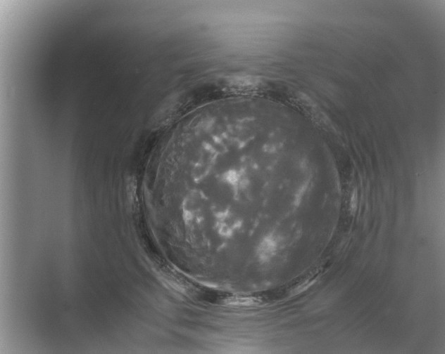 X0000071760711200607150002