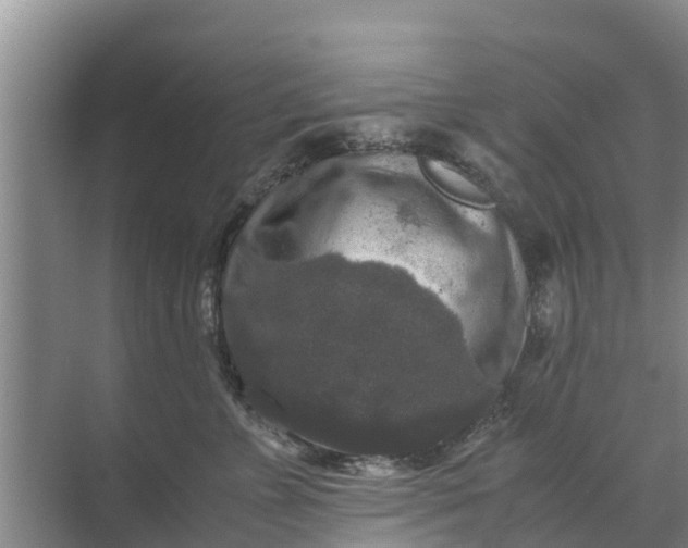 X0000071760715200607150002