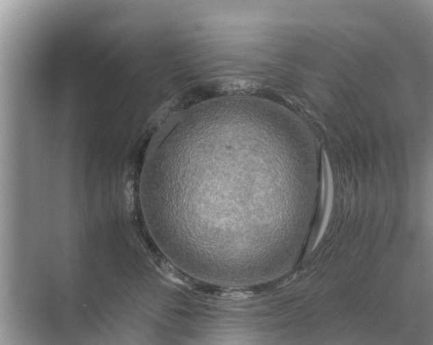 X0000071760716200607150002