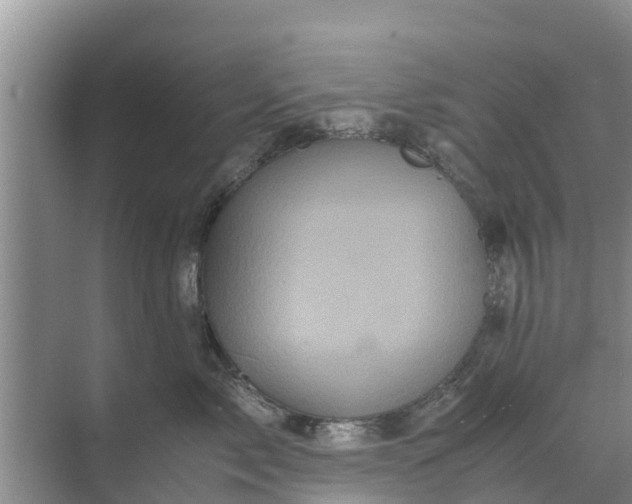 X0000071760717200607150002