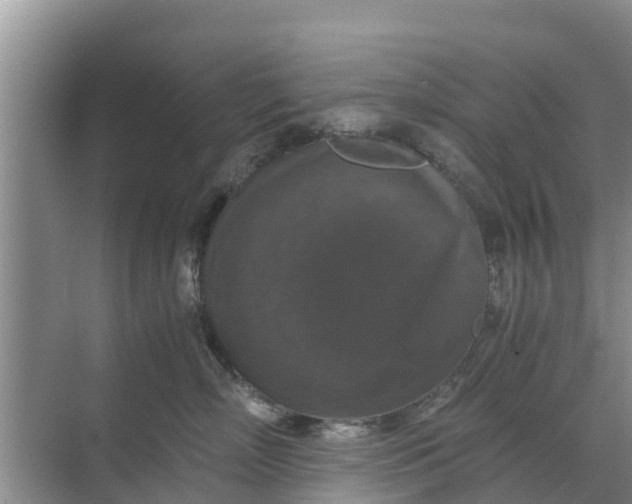 X0000071760718200607150002