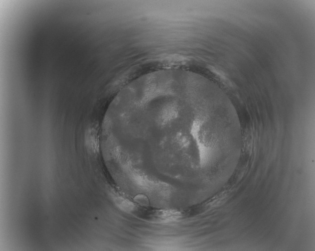 X0000071760719200607150002