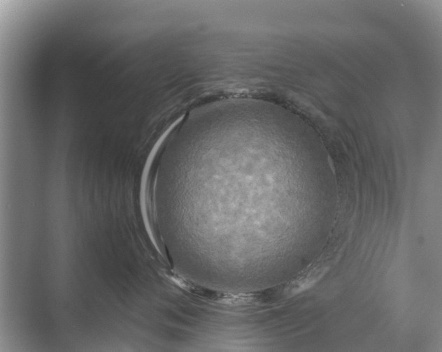 X0000071760720200607150002