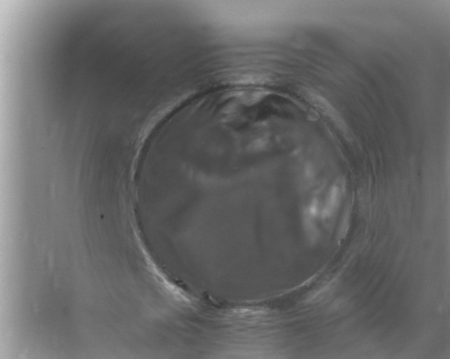 X0000071760721200607150001