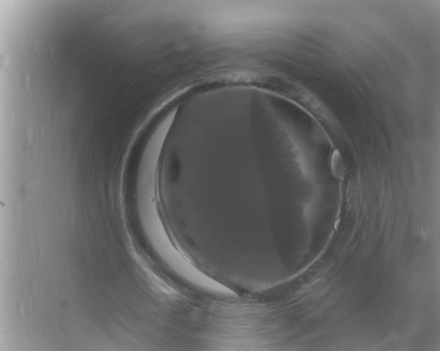 X0000071760722200607150001