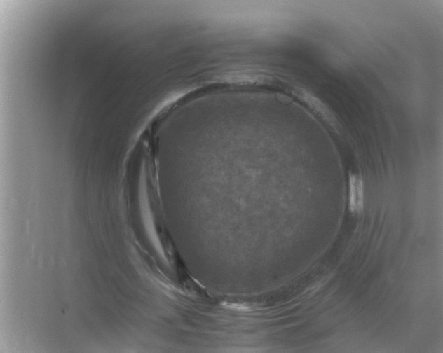 X0000071760723200607150001