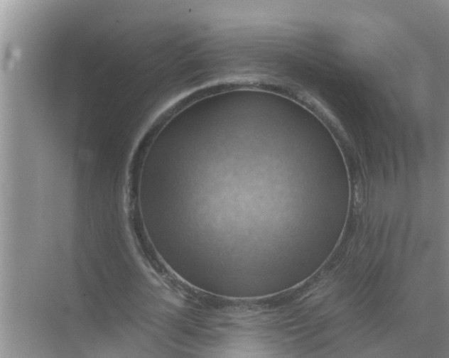 X0000071760724200607150001