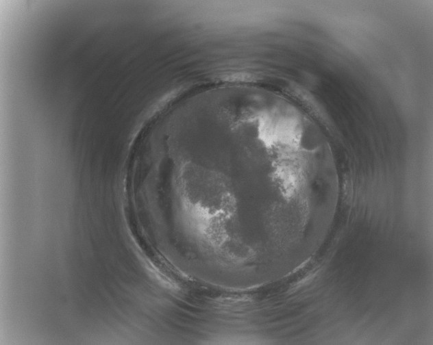 X0000071760725200607150001