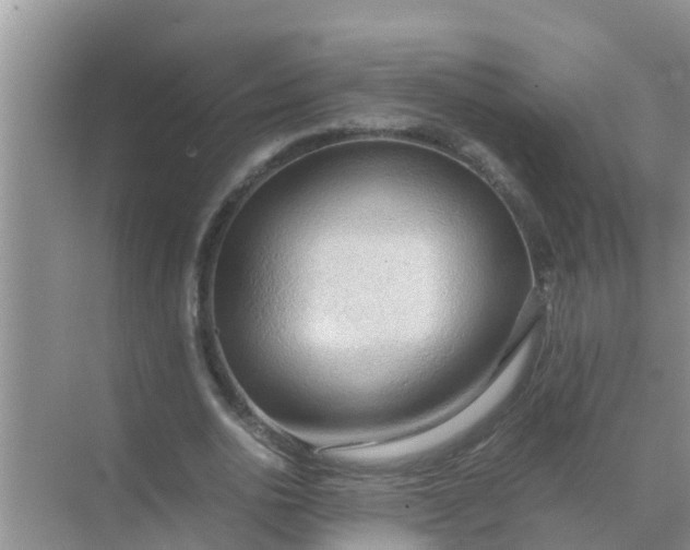 X0000071760726200607150001