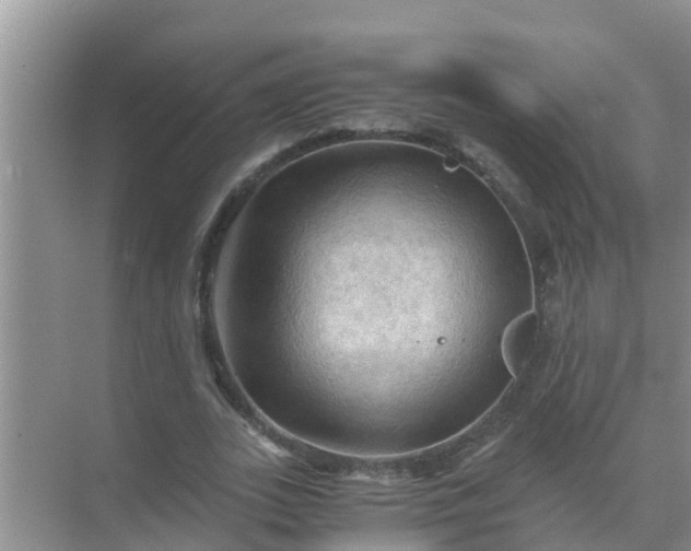 X0000071760727200607150001