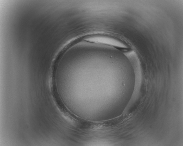 X0000071760728200607150001