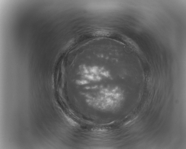 X0000071760729200607150001