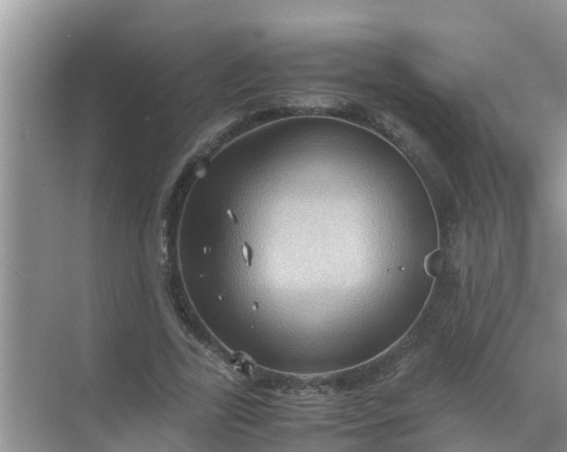 X0000071760731200607150001