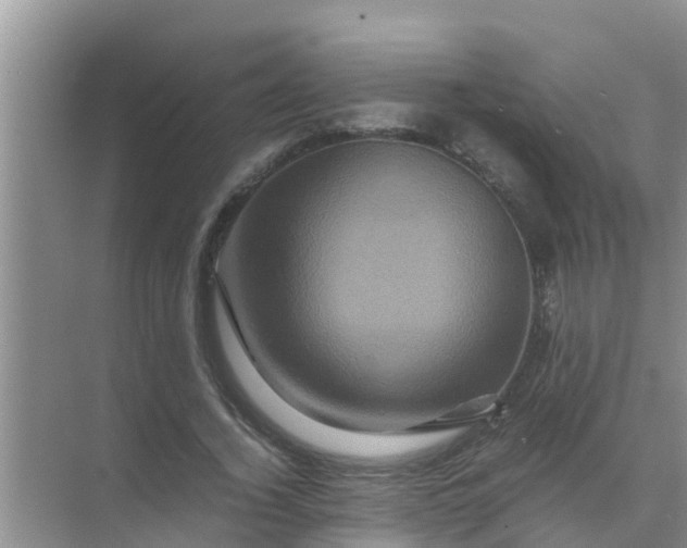 X0000071760732200607150002