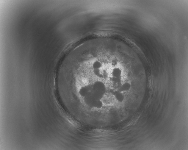 X0000071760733200607150002