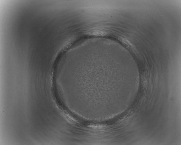 X0000071760735200607150002