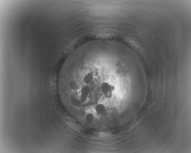 X0000071760737200607150002