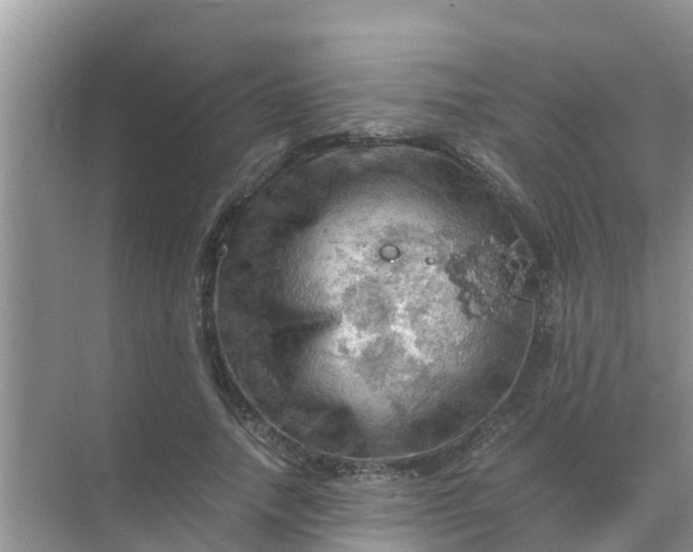 X0000071760738200607150002