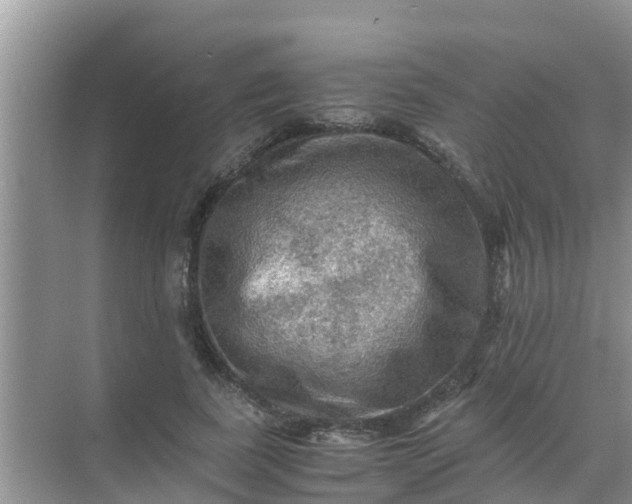 X0000071760739200607150002