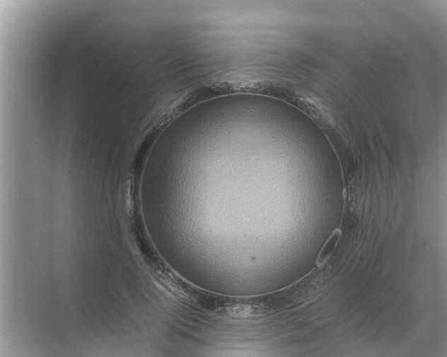 X0000071760740200607150002