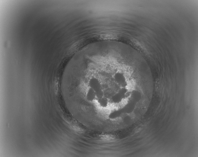 X0000071760741200607150002