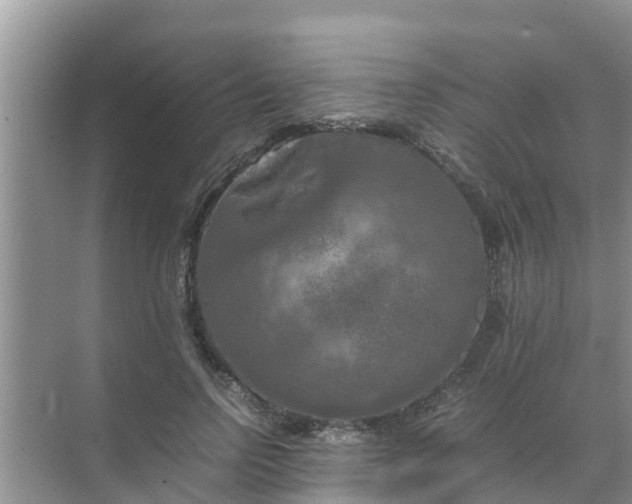 X0000071760742200607150002