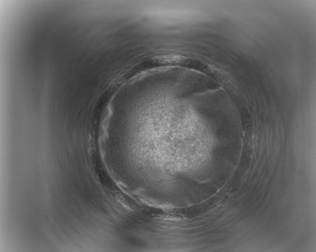 X0000071760743200607150002