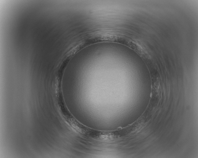 X0000071760744200607150002