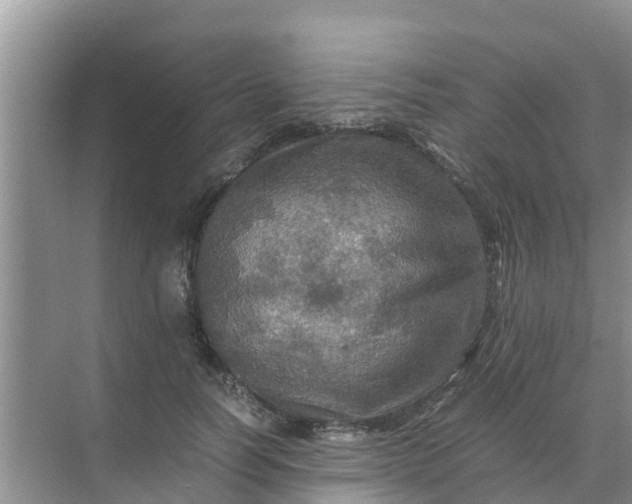 X0000071760746200607150002