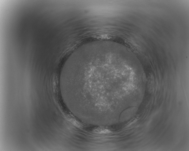 X0000071760747200607150002