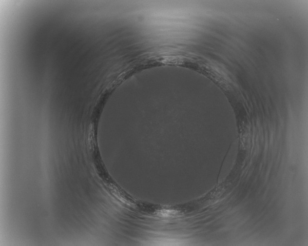 X0000071760748200607150002