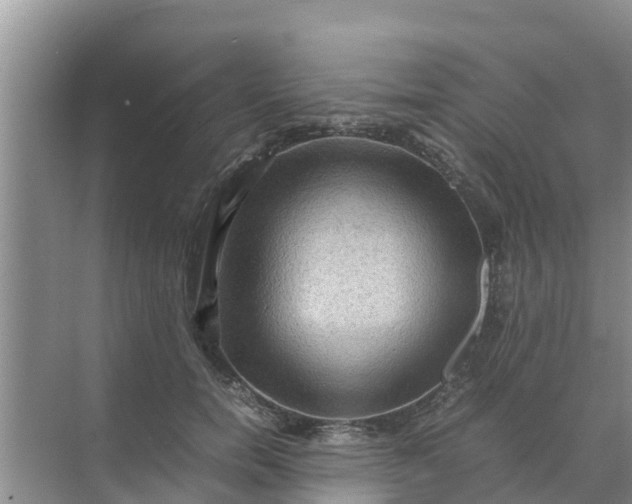 X0000071760750200607150002