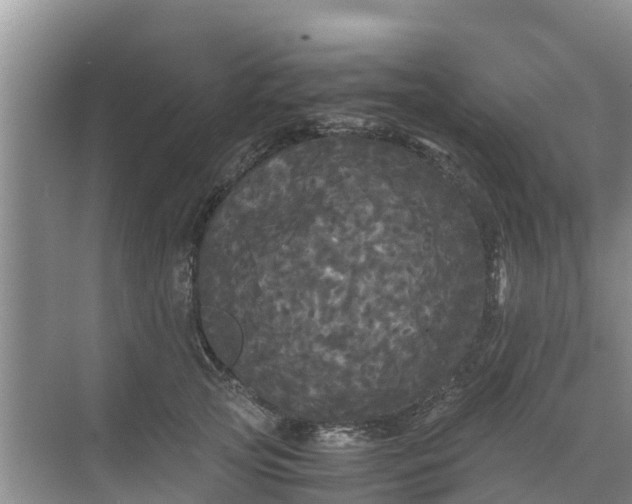 X0000071760753200607150002