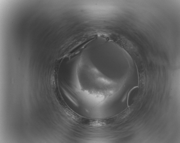 X0000071760754200607150002