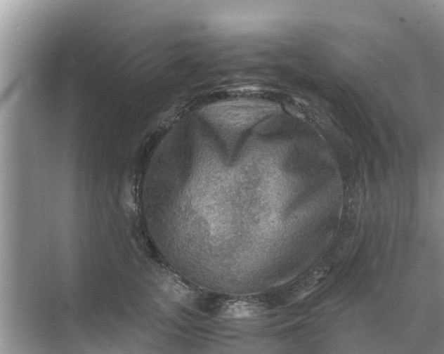 X0000071760755200607150002