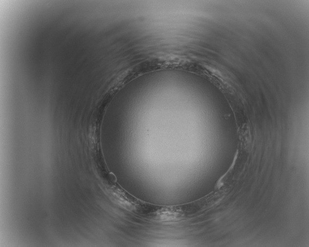 X0000071760756200607150002