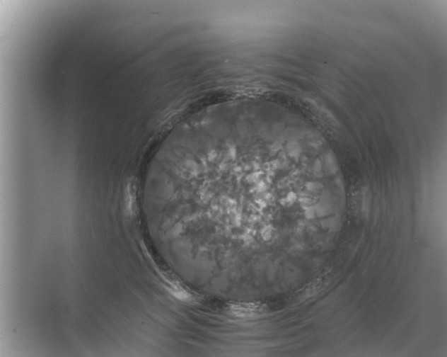 X0000071760757200607150002